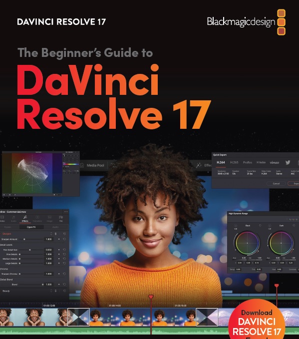 Davincii Resolve Guide 1.0